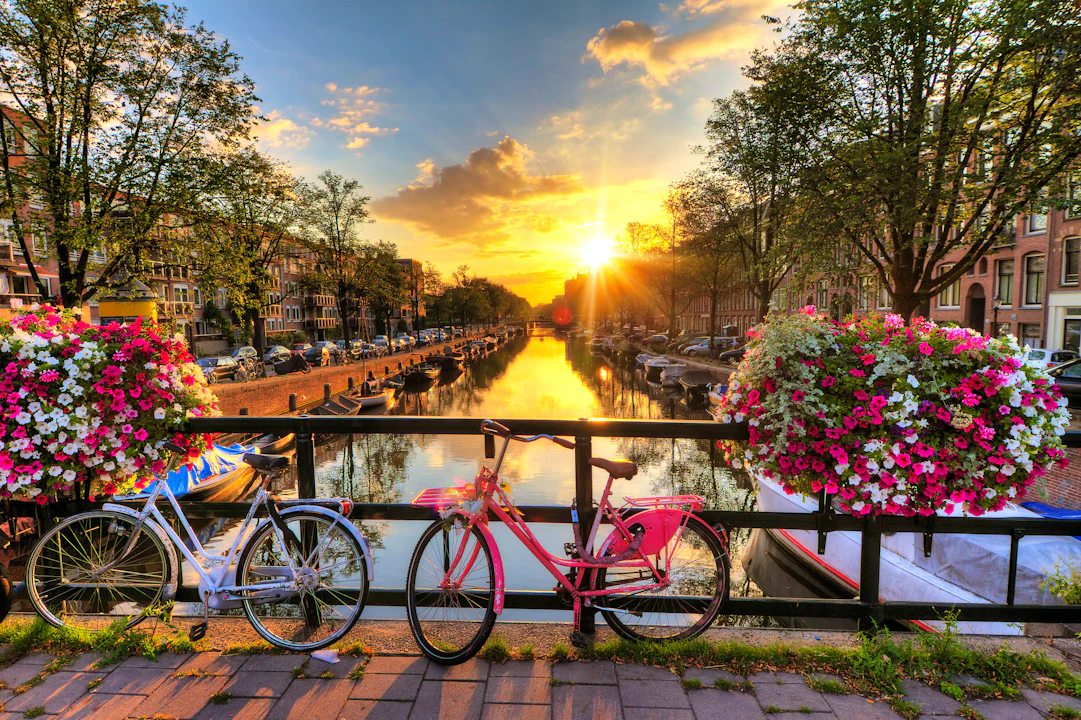 Things to Do in Amsterdam, Book Tours Tickets in Amsterdam